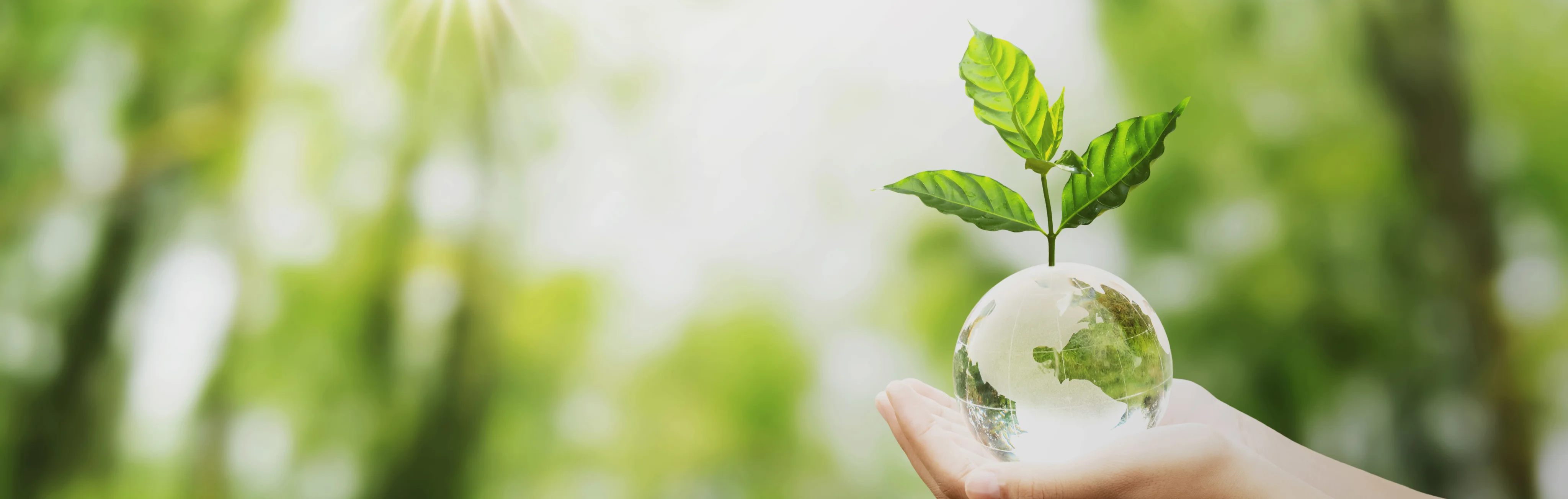 environmental protection