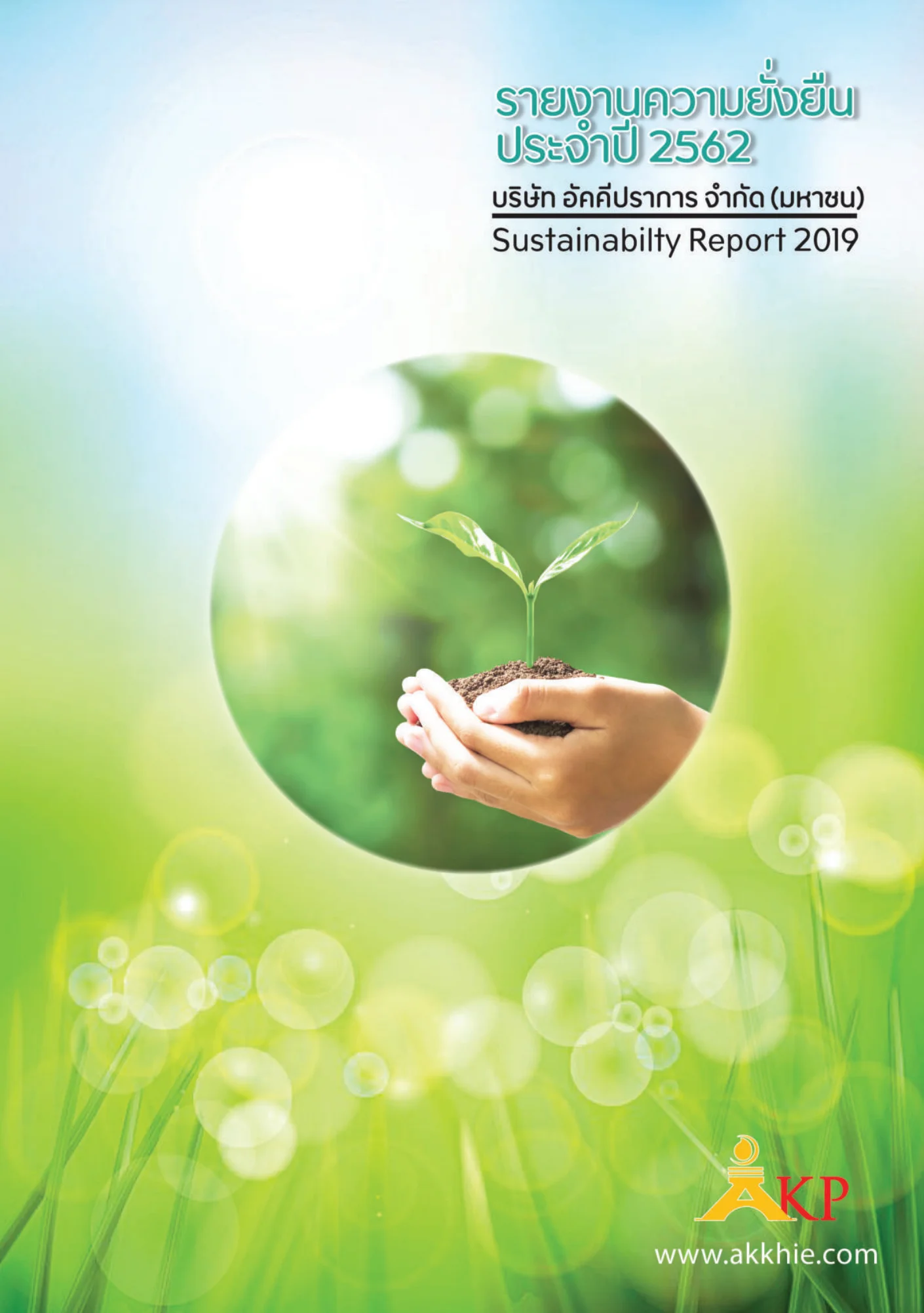 Sustainability Report 2019