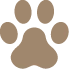 pet icon