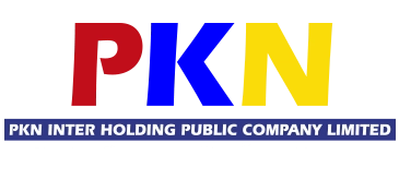 Logo PKN