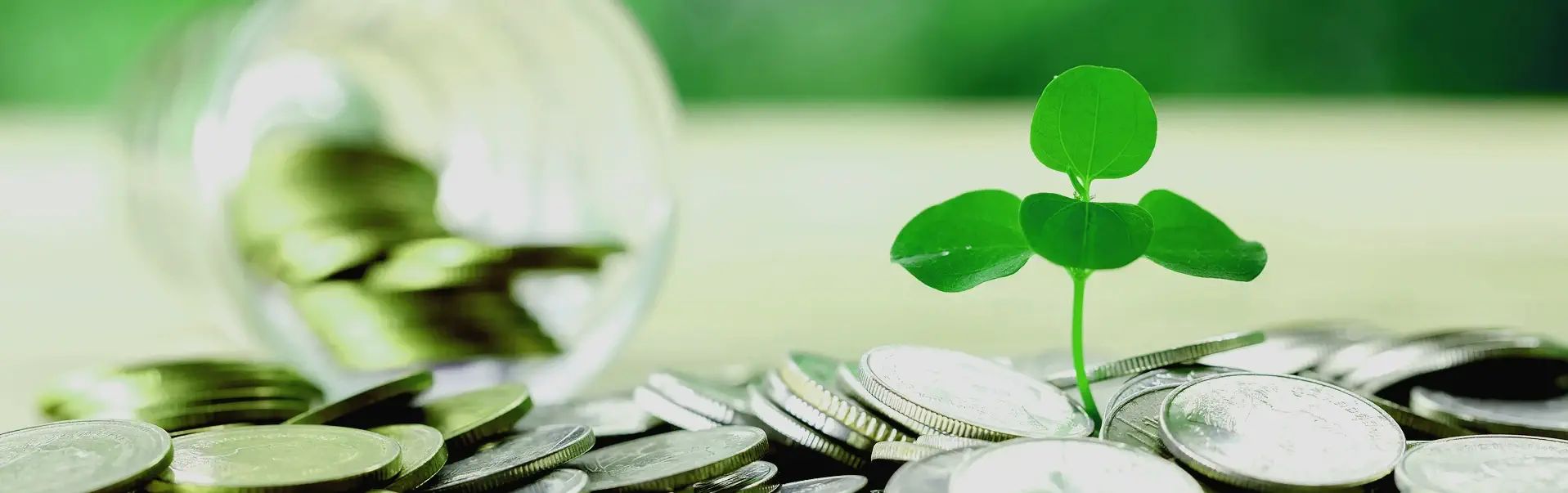 Dividend Policy & Payment