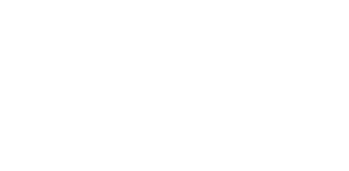 ISO/IEC 29110 - Software Engineering